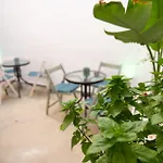 Lejlighedshotel Vincenzo Harmony Ii- Old Town 3*