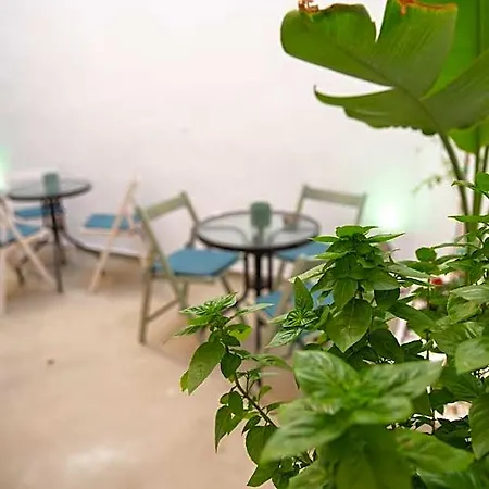 Vincenzo Harmony Ii- Old Town Apartmanhotel 3*